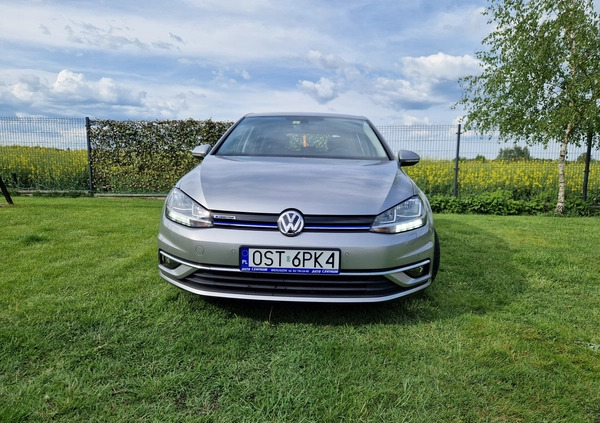 Volkswagen Golf cena 72000 przebieg: 32000, rok produkcji 2017 z Ciechanowiec małe 742